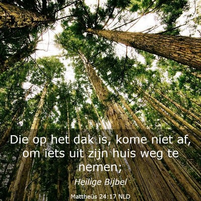 Picture 03 - Mattheüs 24:17 NLD - Die op het dak is, kome niet af, om iets uit zijn - Bible Verse Picture