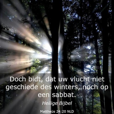 Picture 03 - Mattheüs 24:20 NLD - Doch bidt, dat uw vlucht niet geschiede des - Bible Verse Picture