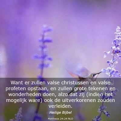 Picture 03 - Mattheüs 24:24 NLD - Want er zullen valse christussen en valse - Bible Verse Picture
