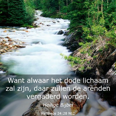 Picture 03 - Mattheüs 24:28 NLD - Want alwaar het dode lichaam zal zijn, daar - Bible Verse Picture