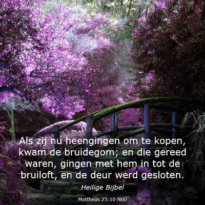 Picture 03 - Mattheüs 25:10 NLD - Als zij nu heengingen om te kopen, kwam de - Bible Verse Picture