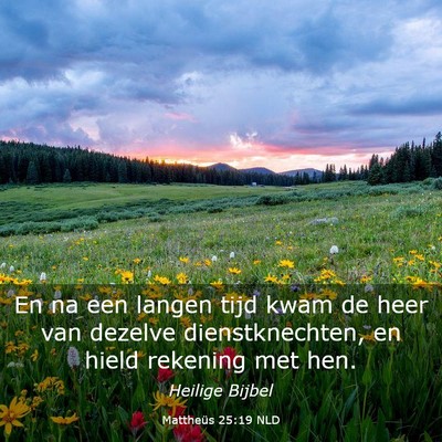 Picture 03 - Mattheüs 25:19 NLD - En na een langen tijd kwam de heer van dezelve - Bible Verse Picture