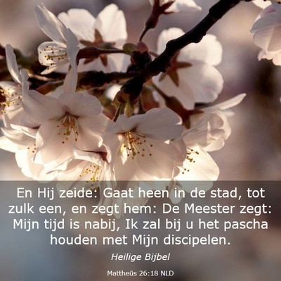 Picture 03 - Mattheüs 26:18 NLD - En Hij zeide: Gaat heen in de stad, tot zulk een, - Bible Verse Picture