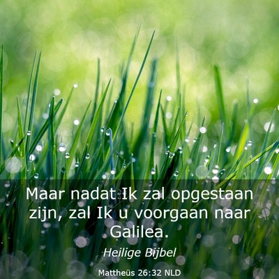 Picture 03 - Mattheüs 26:32 NLD - Maar nadat Ik zal opgestaan zijn, zal Ik u - Bible Verse Picture