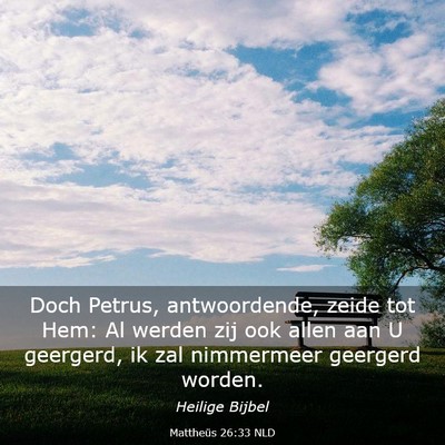 Picture 03 - Mattheüs 26:33 NLD - Doch Petrus, antwoordende, zeide tot Hem: Al - Bible Verse Picture