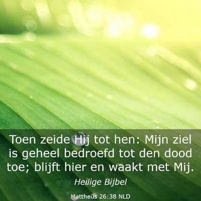 Picture 03 - Mattheüs 26:38 NLD - Toen zeide Hij tot hen: Mijn ziel is geheel - Bible Verse Picture