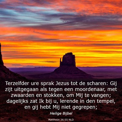 Picture 03 - Mattheüs 26:55 NLD - Terzelfder ure sprak Jezus tot de scharen: Gij - Bible Verse Picture