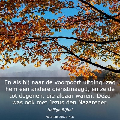 Picture 03 - Mattheüs 26:71 NLD - En als hij naar de voorpoort uitging, zag hem een - Bible Verse Picture