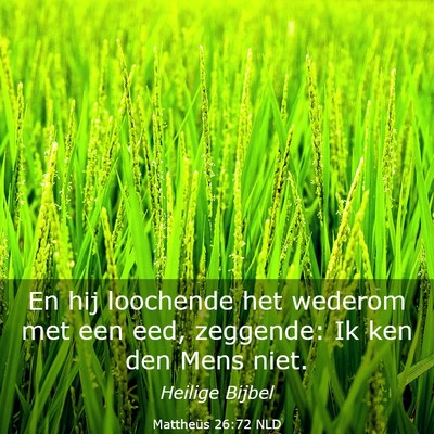 Picture 03 - Mattheüs 26:72 NLD - En hij loochende het wederom met een eed, - Bible Verse Picture