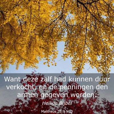 Picture 03 - Mattheüs 26:9 NLD - Want deze zalf had kunnen duur verkocht, en de - Bible Verse Picture