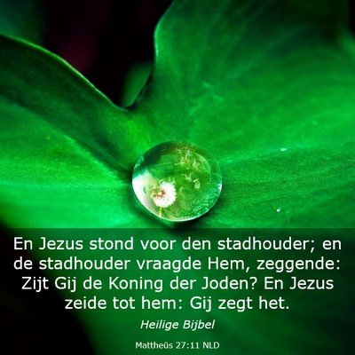 Picture 03 - Mattheüs 27:11 NLD - En Jezus stond voor den stadhouder; en de - Bible Verse Picture