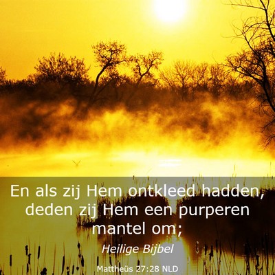 Picture 03 - Mattheüs 27:28 NLD - En als zij Hem ontkleed hadden, deden zij Hem een - Bible Verse Picture