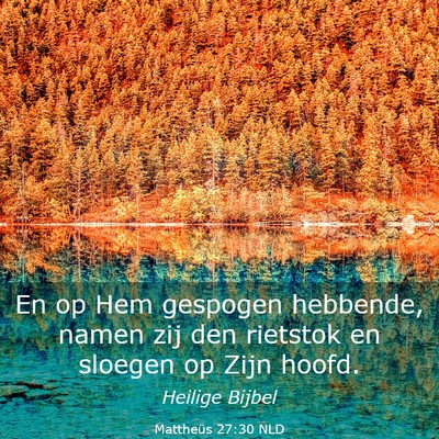 Picture 03 - Mattheüs 27:30 NLD - En op Hem gespogen hebbende, namen zij den - Bible Verse Picture