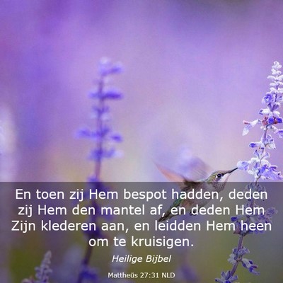 Picture 03 - Mattheüs 27:31 NLD - En toen zij Hem bespot hadden, deden zij Hem den - Bible Verse Picture