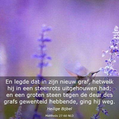 Picture 03 - Mattheüs 27:60 NLD - En legde dat in zijn nieuw graf, hetwelk hij in - Bible Verse Picture