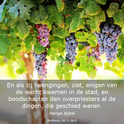 Picture 03 - Mattheüs 28:11 NLD - En als zij heengingen, ziet, enigen van de wacht - Bible Verse Picture
