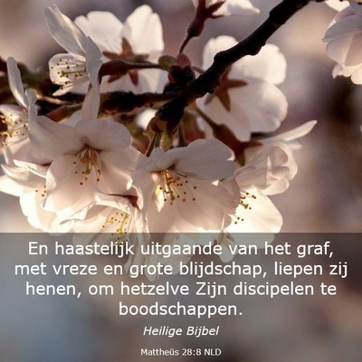 Picture 03 - Mattheüs 28:8 NLD - En haastelijk uitgaande van het graf, met vreze - Bible Verse Picture