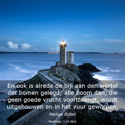 Picture 03 - Mattheüs 3:10 NLD - En ook is alrede de bijl aan den wortel der bomen - Bible Verse Picture