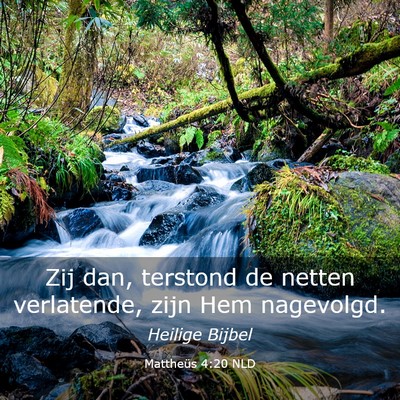 Picture 03 - Mattheüs 4:20 NLD - Zij dan, terstond de netten verlatende, zijn Hem - Bible Verse Picture