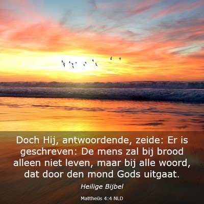 Picture 03 - Mattheüs 4:4 NLD - Doch Hij, antwoordende, zeide: Er is geschreven: - Bible Verse Picture