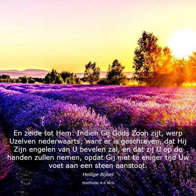 Picture 03 - Mattheüs 4:6 NLD - En zeide tot Hem: Indien Gij Gods Zoon zijt, werp - Bible Verse Picture
