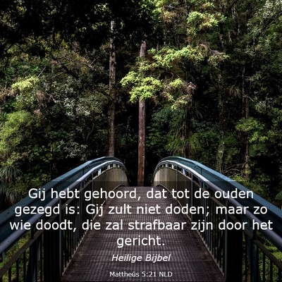 Picture 03 - Mattheüs 5:21 NLD - Gij hebt gehoord, dat tot de ouden gezegd is: Gij - Bible Verse Picture