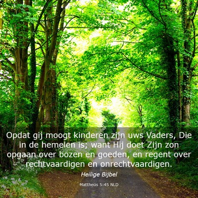 Picture 03 - Mattheüs 5:45 NLD - Opdat gij moogt kinderen zijn uws Vaders, Die in - Bible Verse Picture