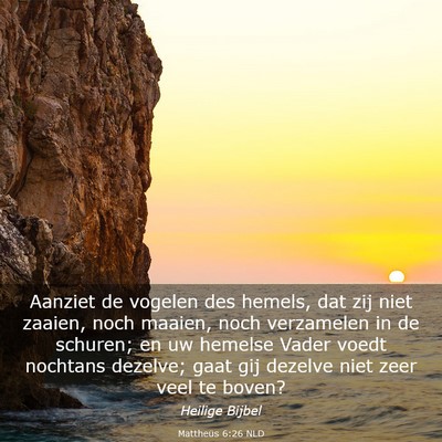 Picture 03 - Mattheüs 6:26 NLD - Aanziet de vogelen des hemels, dat zij niet - Bible Verse Picture