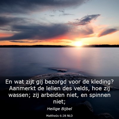 Picture 03 - Mattheüs 6:28 NLD - En wat zijt gij bezorgd voor de kleding? Aanmerkt - Bible Verse Picture