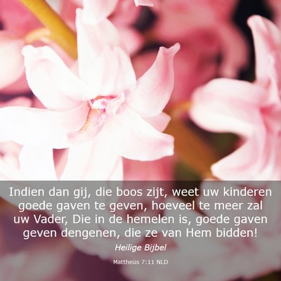 Picture 03 - Mattheüs 7:11 NLD - Indien dan gij, die boos zijt, weet uw kinderen - Bible Verse Picture