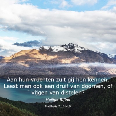 Picture 03 - Mattheüs 7:16 NLD - Aan hun vruchten zult gij hen kennen. Leest men - Bible Verse Picture