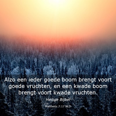 Picture 03 - Mattheüs 7:17 NLD - Alzo een ieder goede boom brengt voort goede - Bible Verse Picture