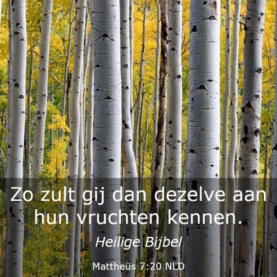 Picture 03 - Mattheüs 7:20 NLD - Zo zult gij dan dezelve aan hun vruchten - Bible Verse Picture