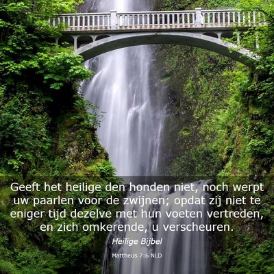 Picture 03 - Mattheüs 7:6 NLD - Geeft het heilige den honden niet, noch werpt uw - Bible Verse Picture