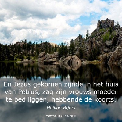 Picture 03 - Mattheüs 8:14 NLD - En Jezus gekomen zijnde in het huis van Petrus, - Bible Verse Picture