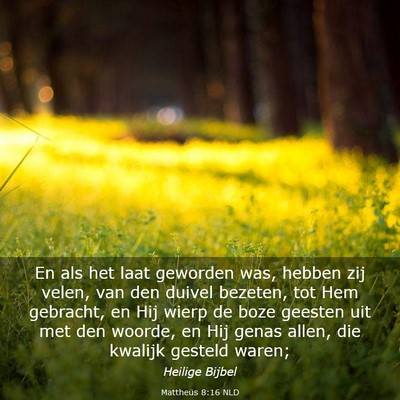 Picture 03 - Mattheüs 8:16 NLD - En als het laat geworden was, hebben zij velen, - Bible Verse Picture