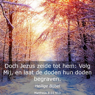 Picture 03 - Mattheüs 8:22 NLD - Doch Jezus zeide tot hem: Volg Mij, en laat de - Bible Verse Picture
