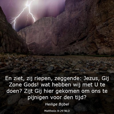 Picture 03 - Mattheüs 8:29 NLD - En ziet, zij riepen, zeggende: Jezus, Gij Zone - Bible Verse Picture