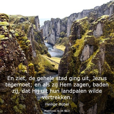 Picture 03 - Mattheüs 8:34 NLD - En ziet, de gehele stad ging uit, Jezus tegemoet; - Bible Verse Picture