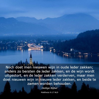 Picture 03 - Mattheüs 9:17 NLD - Noch doet men nieuwen wijn in oude leder zakken; - Bible Verse Picture