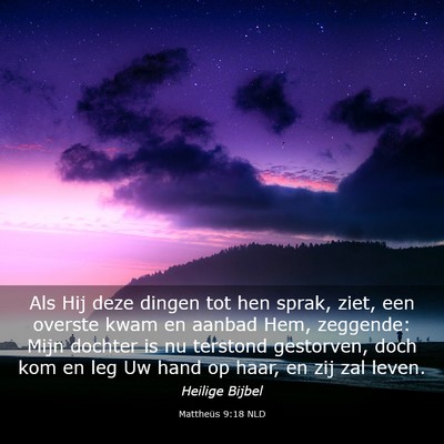 Picture 03 - Mattheüs 9:18 NLD - Als Hij deze dingen tot hen sprak, ziet, een - Bible Verse Picture