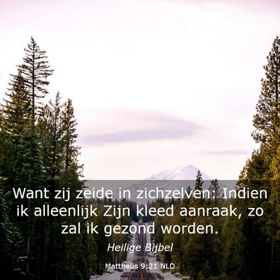 Picture 03 - Mattheüs 9:21 NLD - Want zij zeide in zichzelven: Indien ik - Bible Verse Picture