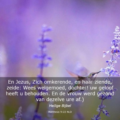 Picture 03 - Mattheüs 9:22 NLD - En Jezus, Zich omkerende, en haar ziende, zeide: - Bible Verse Picture