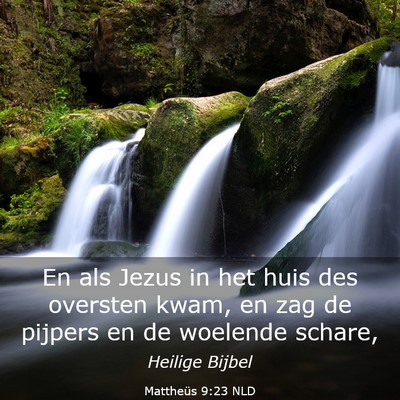 Picture 03 - Mattheüs 9:23 NLD - En als Jezus in het huis des oversten kwam, en - Bible Verse Picture