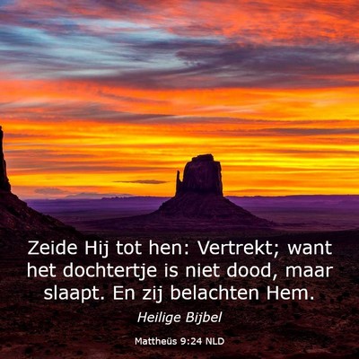 Picture 03 - Mattheüs 9:24 NLD - Zeide Hij tot hen: Vertrekt; want het dochtertje - Bible Verse Picture