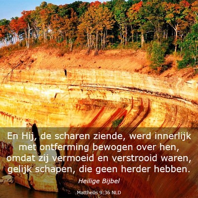 Picture 03 - Mattheüs 9:36 NLD - En Hij, de scharen ziende, werd innerlijk met - Bible Verse Picture