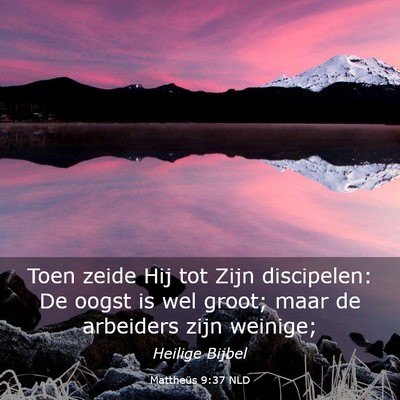 Picture 03 - Mattheüs 9:37 NLD - Toen zeide Hij tot Zijn discipelen: De oogst is - Bible Verse Picture