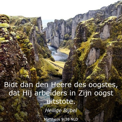 Picture 03 - Mattheüs 9:38 NLD - Bidt dan den Heere des oogstes, dat Hij arbeiders - Bible Verse Picture