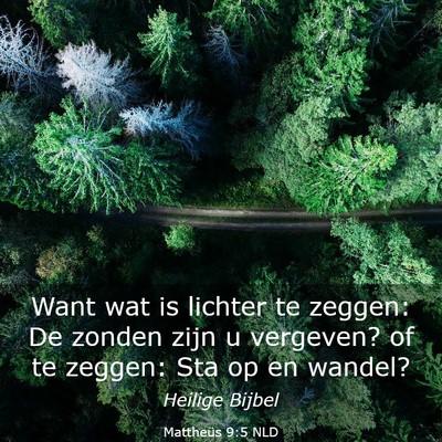Picture 03 - Mattheüs 9:5 NLD - Want wat is lichter te zeggen: De zonden zijn u - Bible Verse Picture