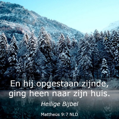 Picture 03 - Mattheüs 9:7 NLD - En hij opgestaan zijnde, ging heen naar zijn - Bible Verse Picture